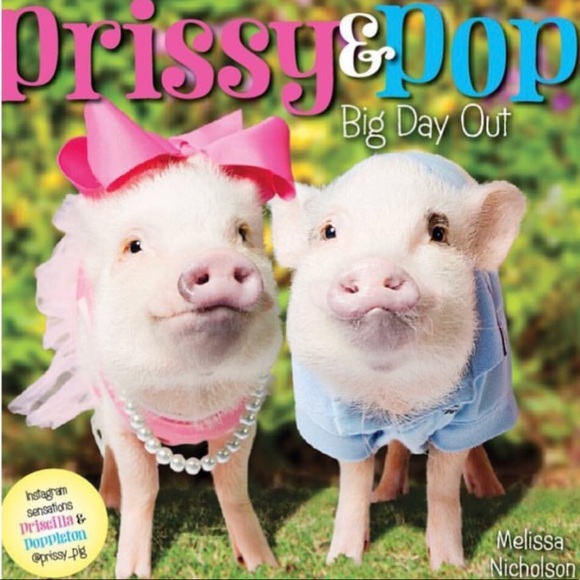 piggymel7
